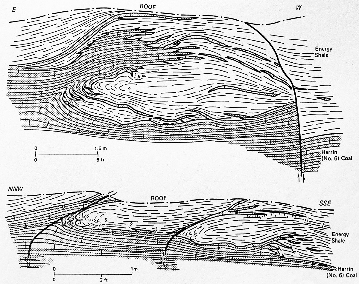 Gray shale rolls form local discontinuities in the Herrin coal bed in Illinois. (From Nelson, 1983, Fig. 21, p.25, with permission from the Illinois State Geological Survey).